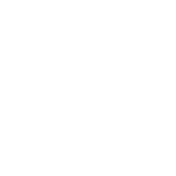 Avatar AI