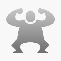Delfino AI